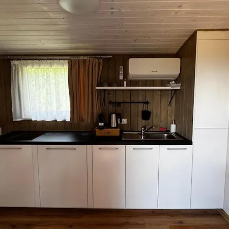 Guest house Salas Viglas 3*